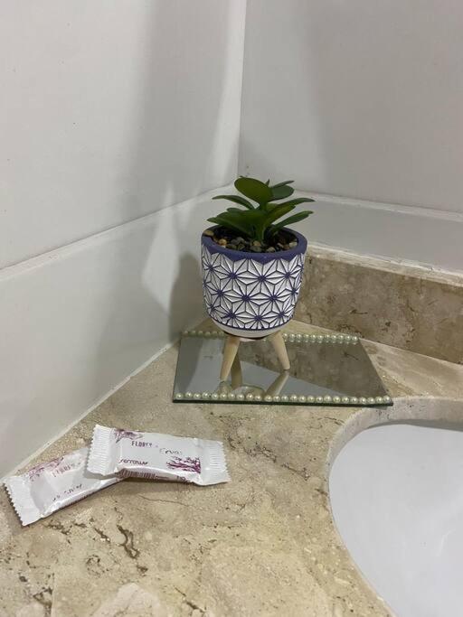 Flat Elegante E Bem Localizado Leilighet Feira de Santana Eksteriør bilde